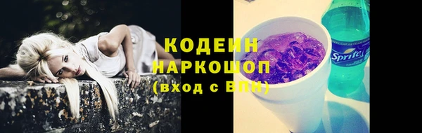 ешки Арсеньев