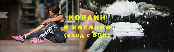 гашик Алзамай
